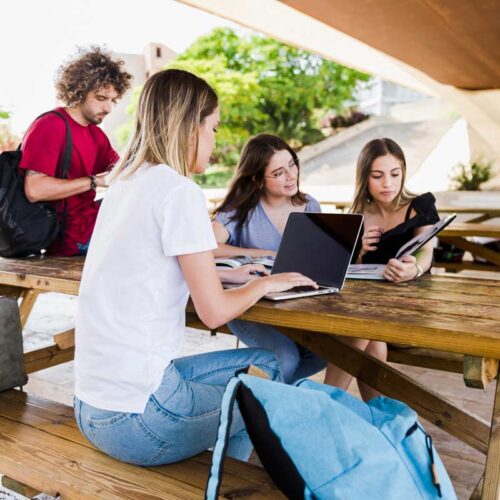 How to Choose the Right University Course for You: A BritAcademic Guide